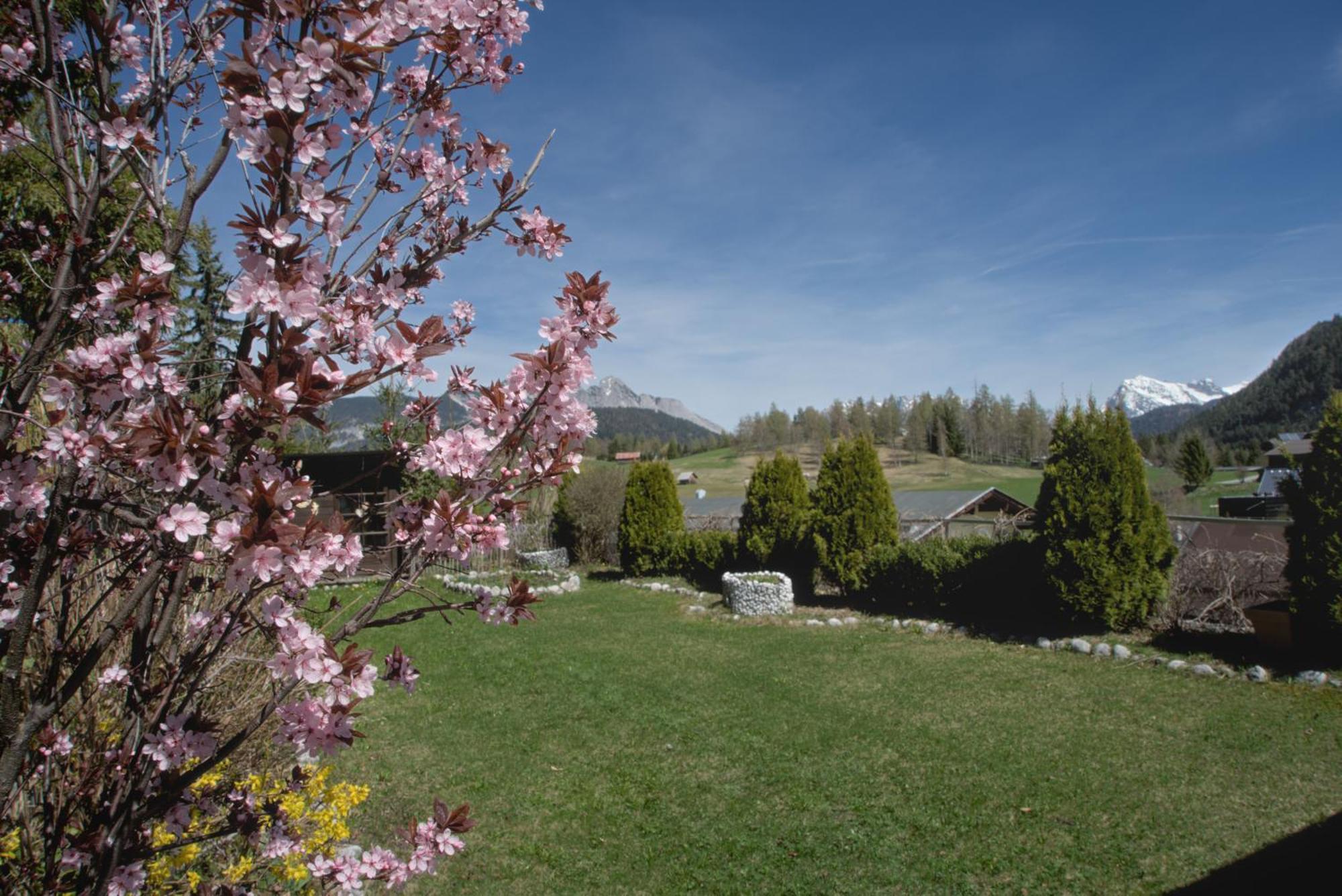 Apartamento Haus Tannengrün Seefeld in Tirol Exterior foto